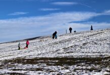 Jaki Pokrowiec na Snowboard? Polecane Pokrowce na Deskę Snowboardową