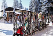 Odzież Snowboardowa: Jak Ubrać Się na Snowboard? Praktyczne Wskazówki