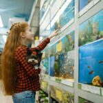 Girl looking on fishes in aquarium, pet store