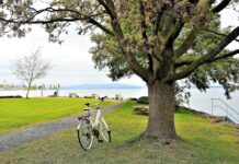 Rodzaje opon rowerowych – co musisz o nich wiedzieć? Poznaj wszystkie!