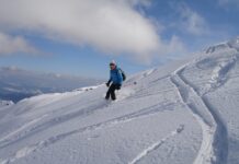 Recenzje Najnowszych Modeli Nart