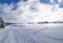 Analiza Ostatnich Zawodów Narciarskich