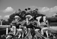 Wpływ herbat ziołowych na regenerację i wydolność