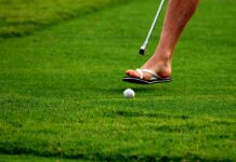 Czy sumo to sport czy rytuał? Historia i tradycja japońskich gigantów