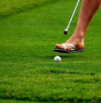 Czy sumo to sport czy rytuał? Historia i tradycja japońskich gigantów