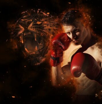 Najmłodsi mistrzowie świata w sportach walki – jak zaczęli swoją drogę?