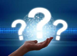 Dorota Świeniewicz – liderka siatkówki z sercem do walki