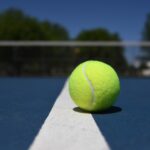 rolki.edu (168)